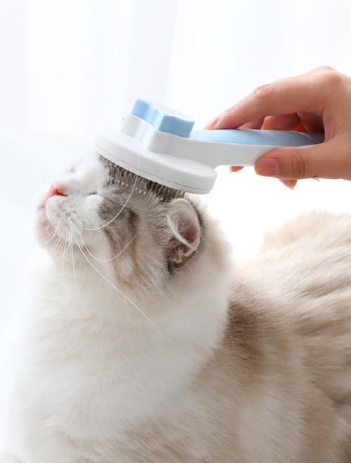 brosse-poils-chats